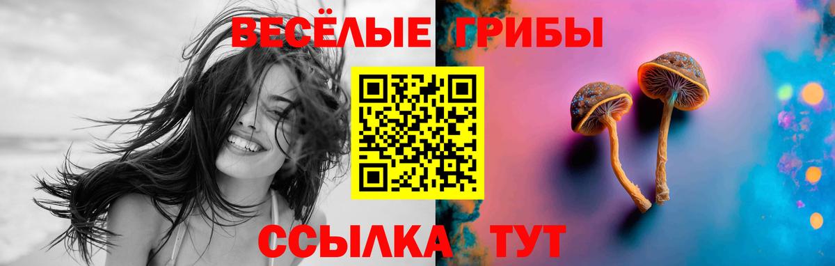 Псилоцибиновые грибы мицелий  Вход с VPN  Семёнов 